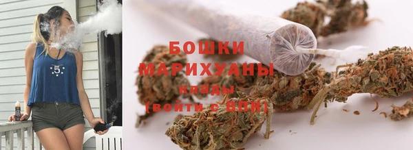 индика Переславль-Залесский