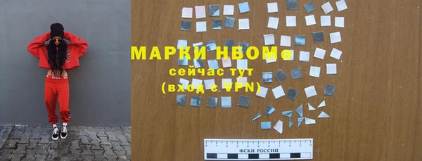 индика Переславль-Залесский