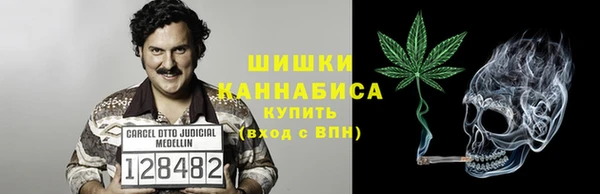 индика Переславль-Залесский