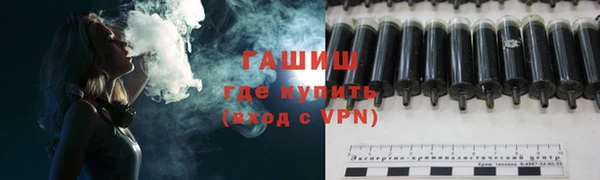 индика Переславль-Залесский