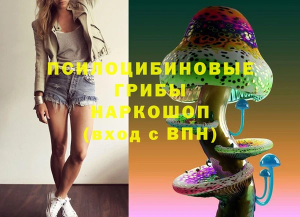 винт Покров