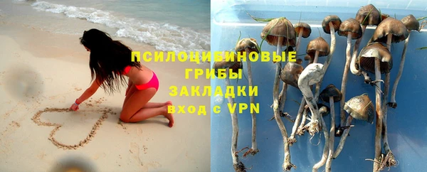 ешки Покровск