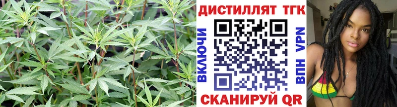 Купить где  Харабали  ТГК гашишное масло 